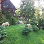 Sopalowka Косцелиско