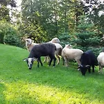 Sopalowka * Косцелиско