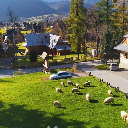 Sopalowka Homestay Koscielisko