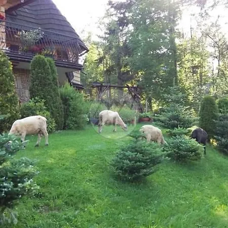 Sopalowka コシチェリスコ