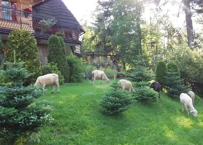 Sopalowka Kościelisko