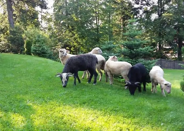 Sopalowka * 코스실리스코